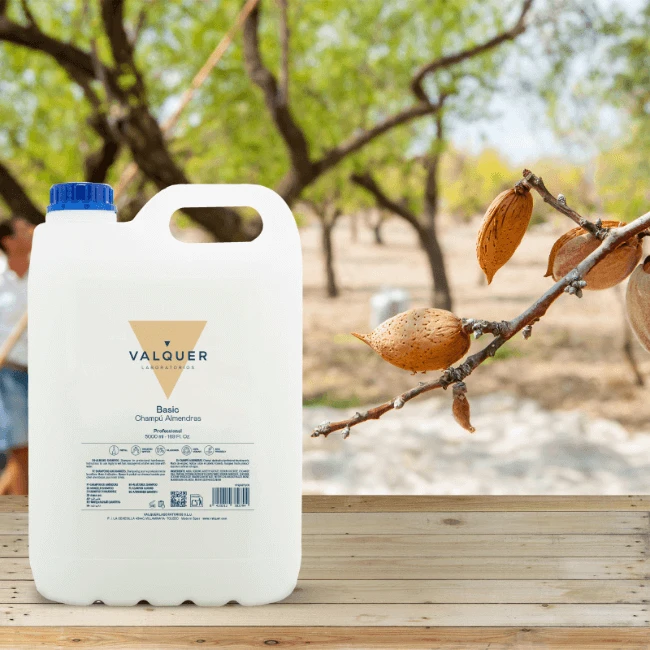 Champú Almendras - 5000 Ml - Imagen 2