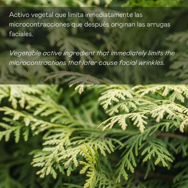 Serum Facial Antiarrugas De Expresi贸n - 30 Ml - Imagen 3