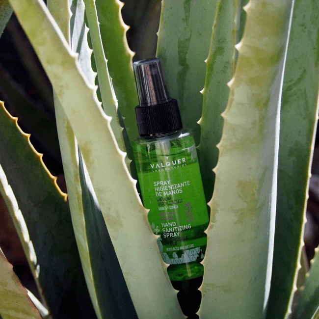 Spray Hidroalcoh贸lico De Manos, Limpiador Hidroalcoh贸lico - 100 Ml - Imagen 3